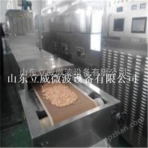 济南哪有五香花生米微波烘烤设备生产厂家